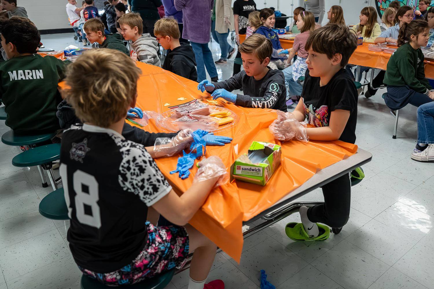 ST_PAT_SAND_0043 (Copy)