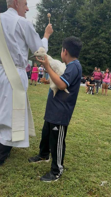 St. Charles Borromeo in Morganton had some special pet friends that came to be blessed. (Copy)