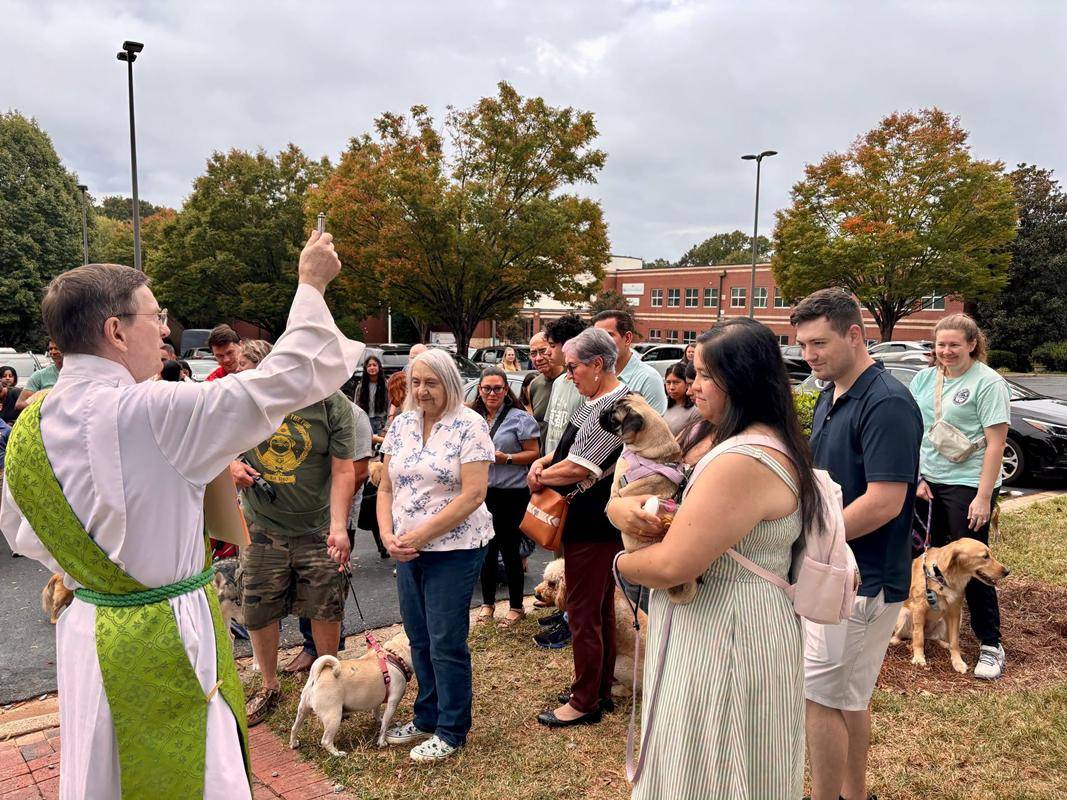 Puppies, kitties, a frog and a snake came to St. Gabriel Church for pet blessings. 