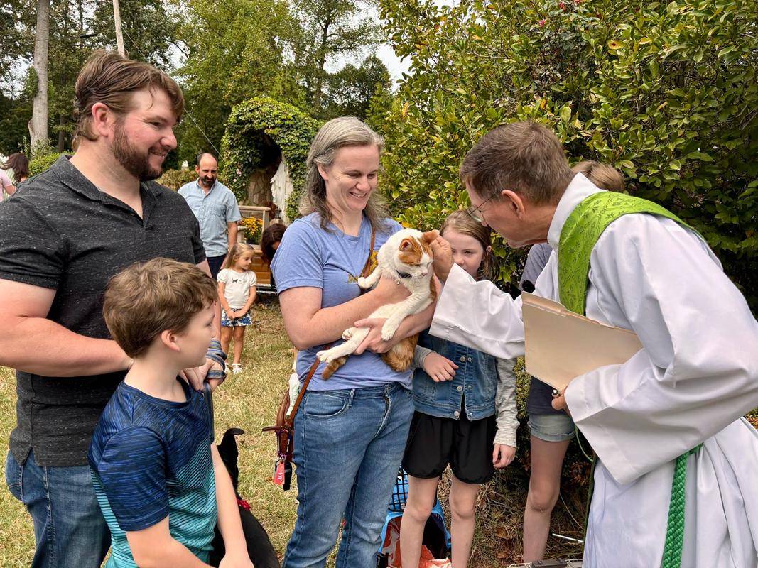 Puppies, kitties, a frog and a snake came to St. Gabriel Church for pet blessings. 