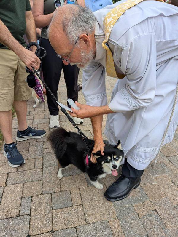 Deacon Ralp blesses happy animals at St. Leo the Great Church in Winston-Salem. 