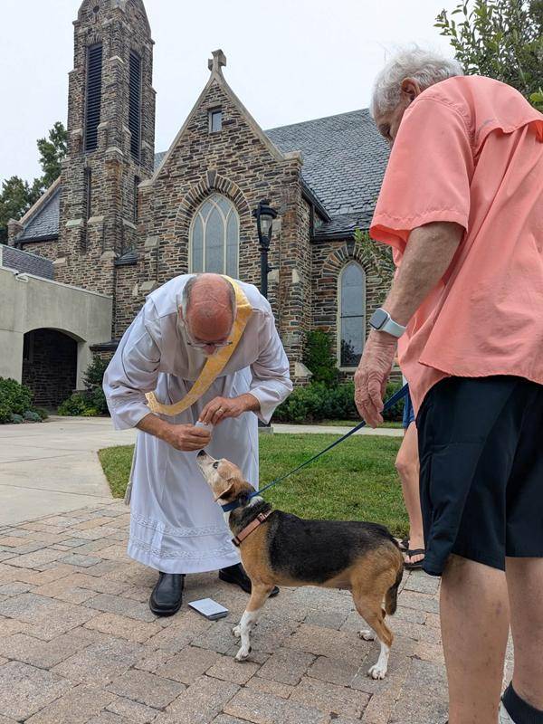 Deacon Ralp blesses happy animals at St. Leo the Great Church in Winston-Salem. 