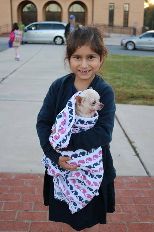 Sacred Heart students brought puppies, kittens, fish, hamsters, rabbits, a chicken and a mouse. Here is Cielo Trujillo and her dog.