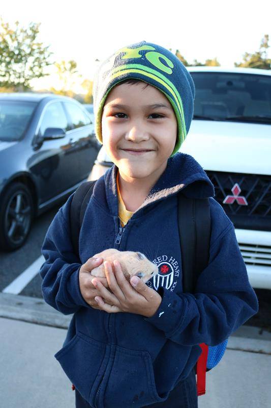 Sacred Heart Catholic School hosted their annual Blessing of the Animals. (Photos provided by Robin Fisher) Here is Osmar Monroy with his guinea pig.