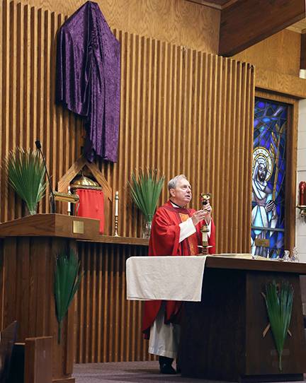 MARION — Father Carl Kaltreider, pastor, celebrates the vigil Mass for the solemnity of Palm Sunday at Our Lady of the Angels Church March 24. (Giuliana Polinari Riley, correspondent)