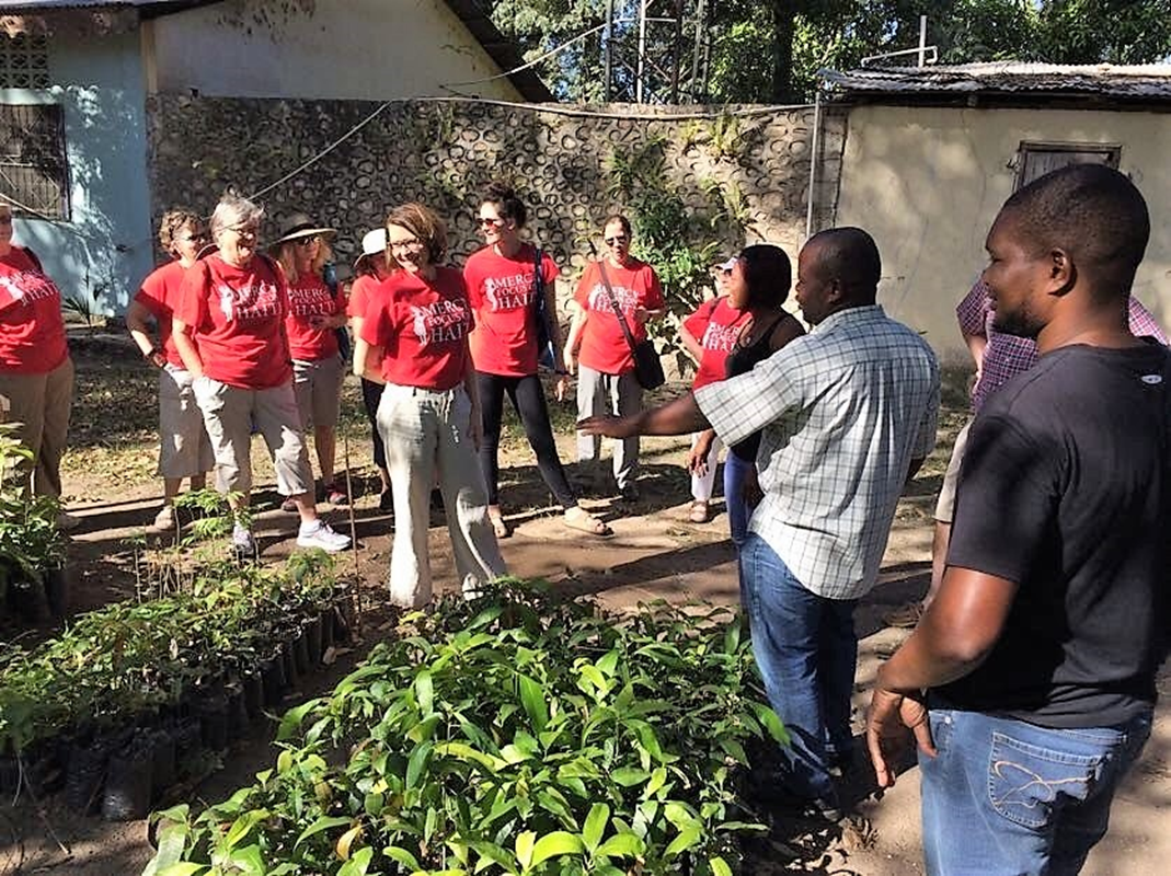 Haiti - agronomy program (Copy)