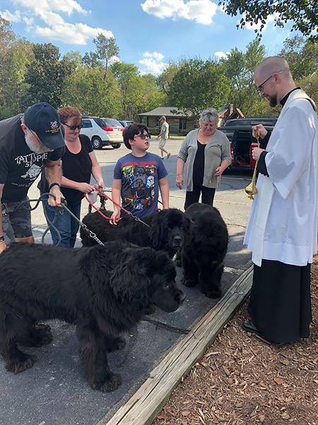 LINCOLNTON — In honor of the feast of St. Francis of Assisi, Father David Miller, pastor, blessed many of the pets of St. Dorothy parishioners. (Photo from Facebook)
