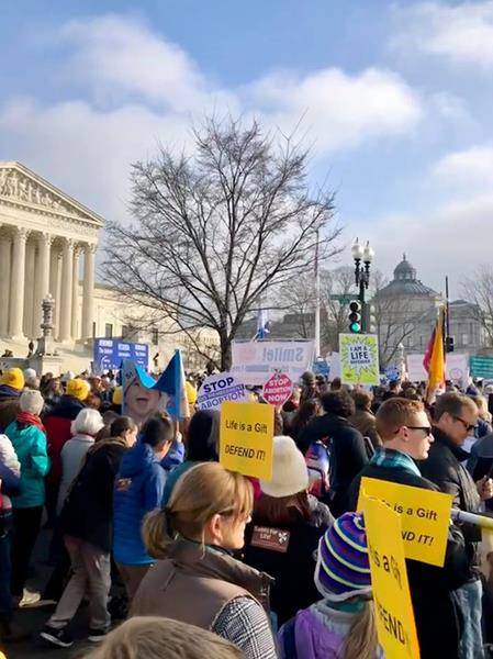 Parishioners of St. Mark Church in Huntersville March in D.C. (Photo via Facebook).