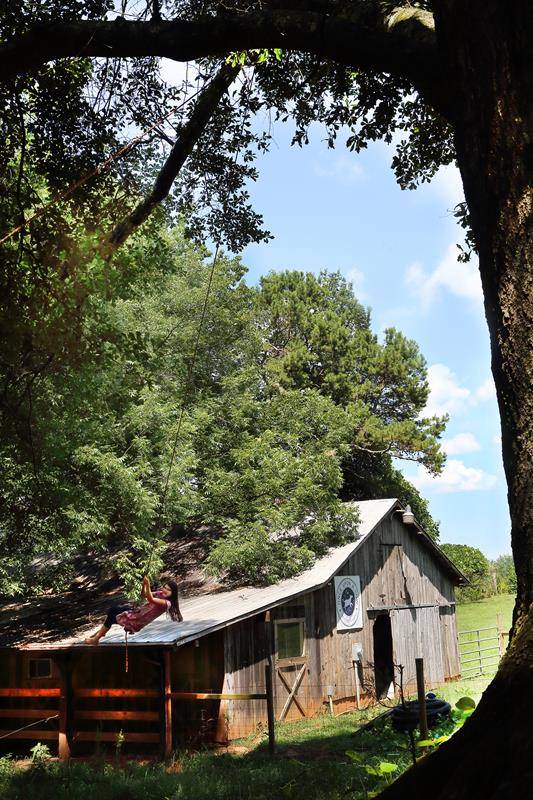 Margaret Mary on rope swing from big old oak tree (Copy)
