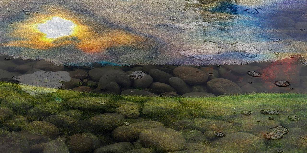 Peyton Hall, Cbury Adventures, Honorable Mention