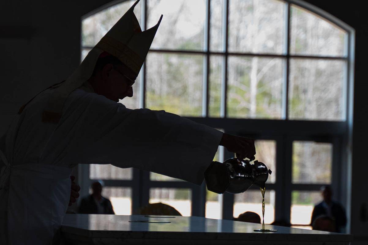 ST_LUKE-377 copy (Copy)