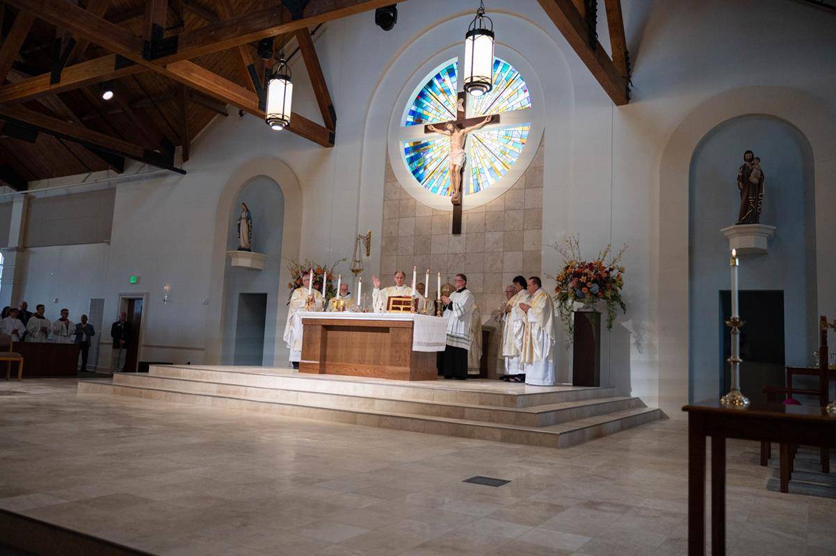 ST_LUKE-466 copy (Copy)