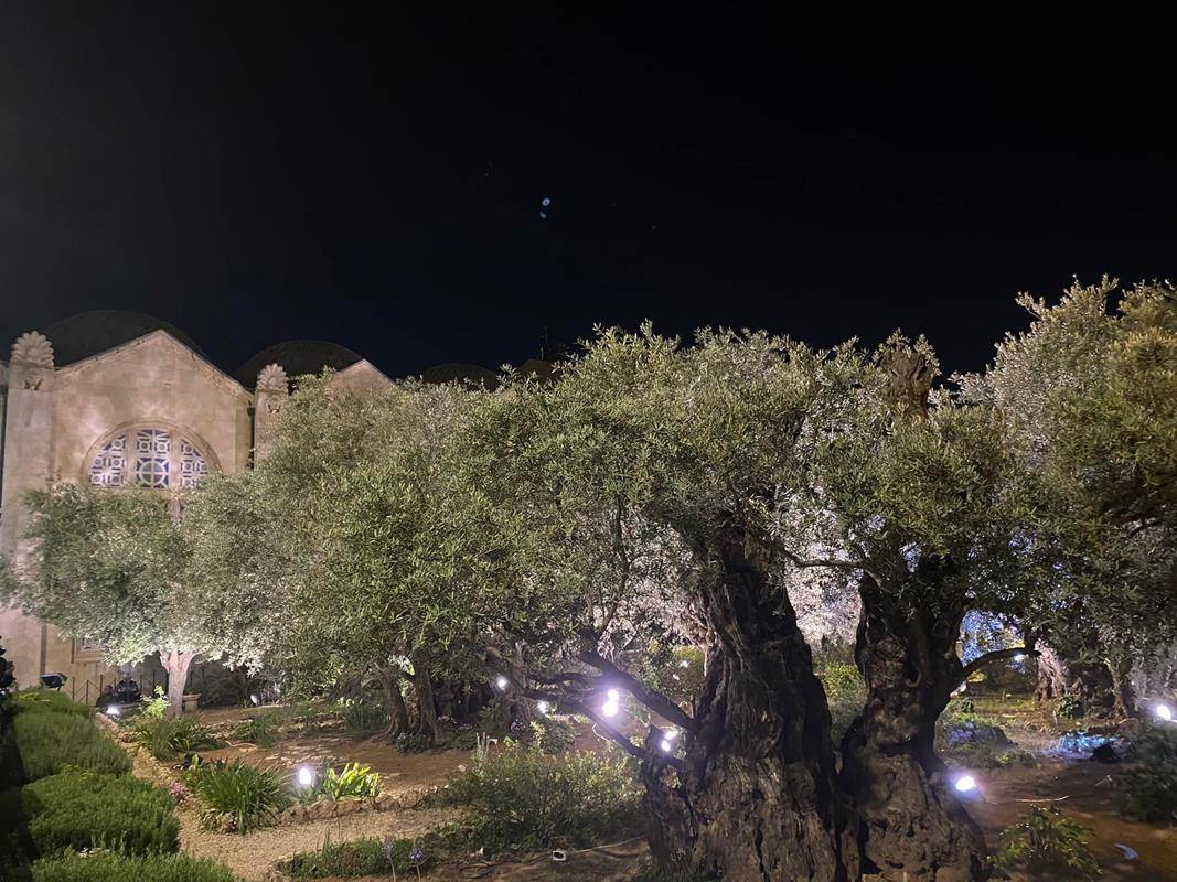 PHOTO- Youth Pilgrimage to Holy Land 2 3_17 (Copy)