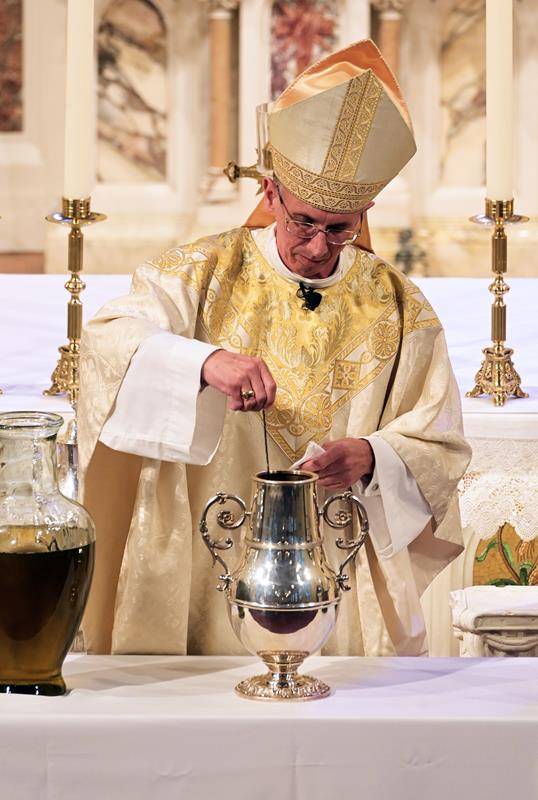 339517385_219274767362380_7935687726729260590_n (Copy)