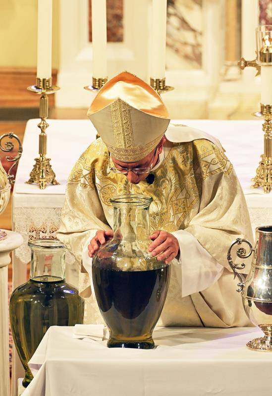 339640185_951064822743764_6718340472030525647_n (Copy)