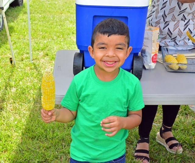 St Francis 12 (Copy)