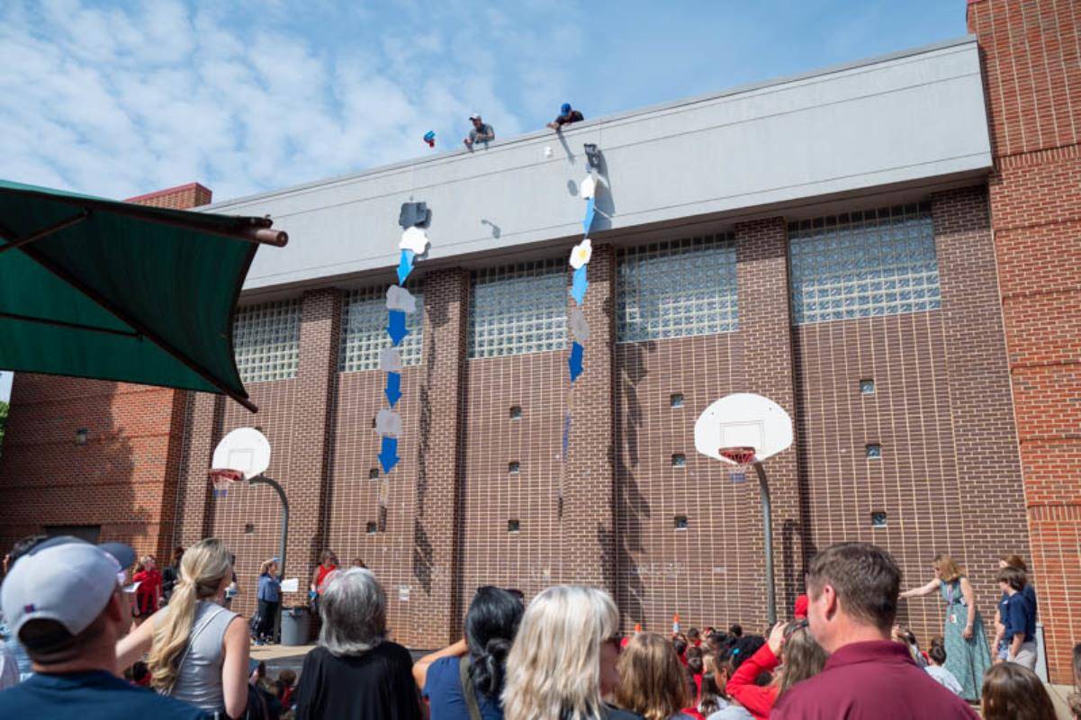 EGG_DROP-0099 (Copy)