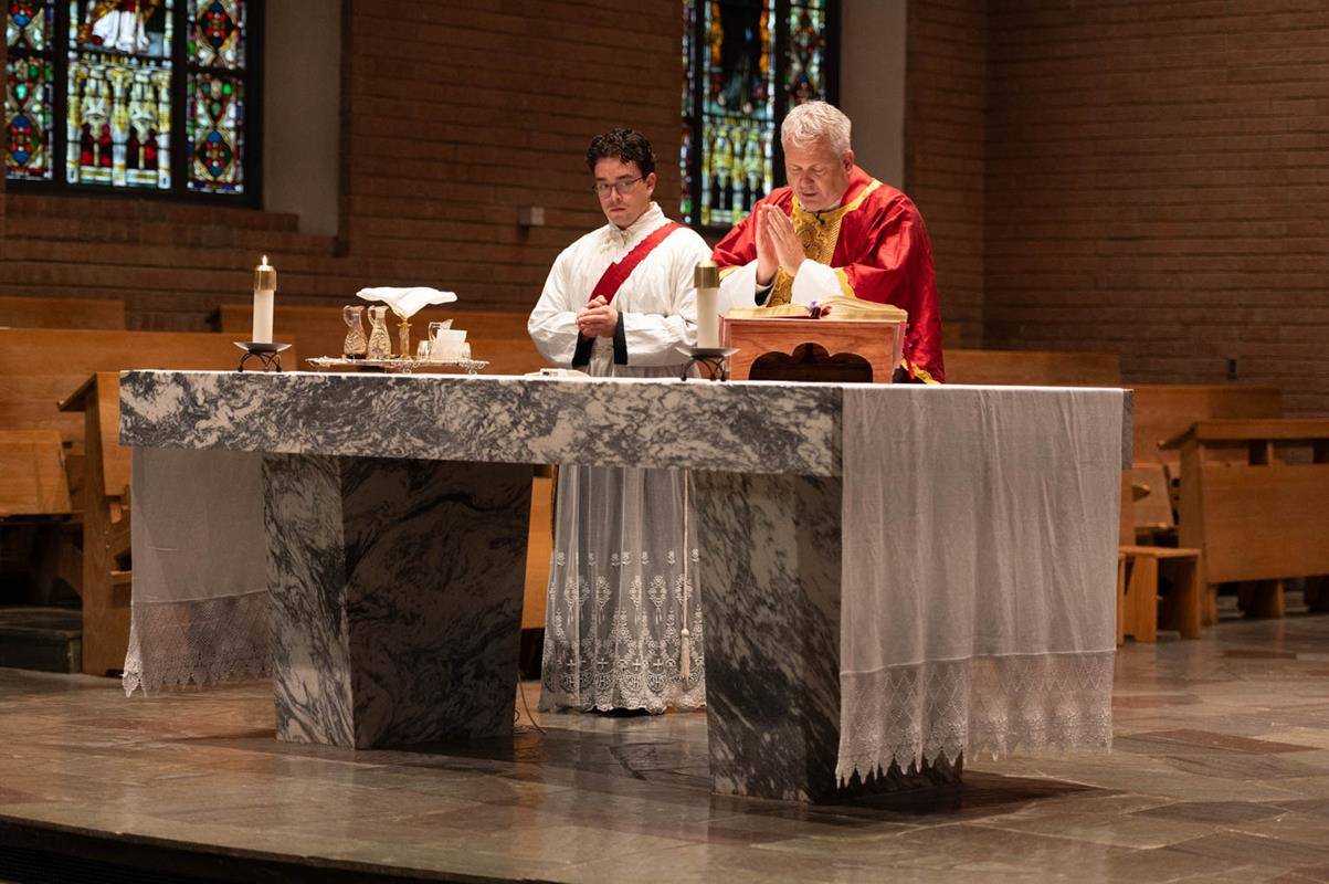 DUC_IN_ALT0245 (Copy)