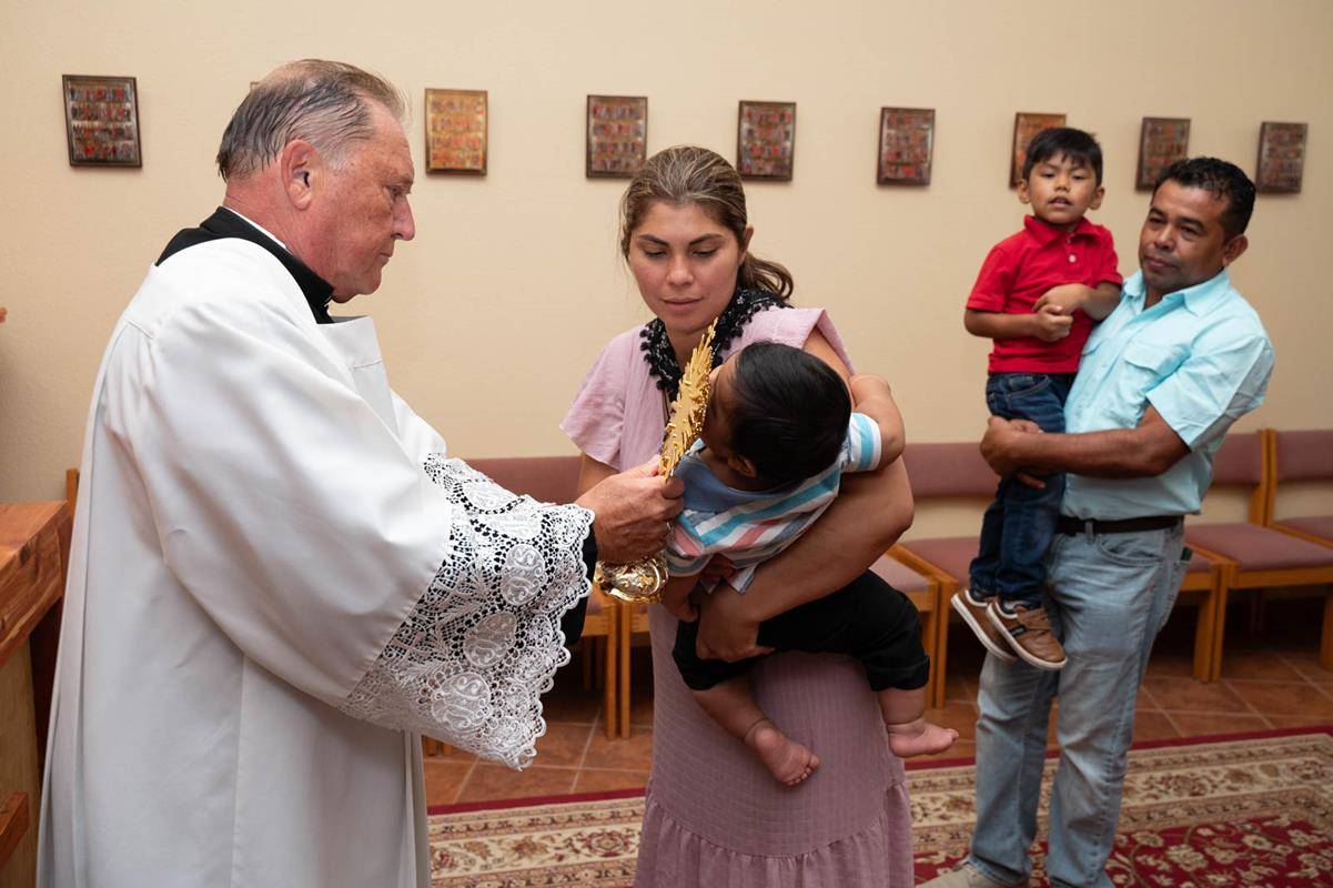 StTA_POLMass0153 (Copy)