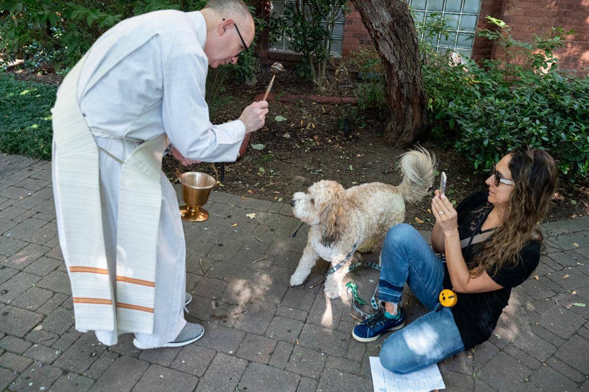 Deacon Jim Bozik read from the Gospel, prayed, and sprinkled holy water on 10 dogs and two cats, blessing them (and their owners) as they panted, squirmed and yipped or yowled. 