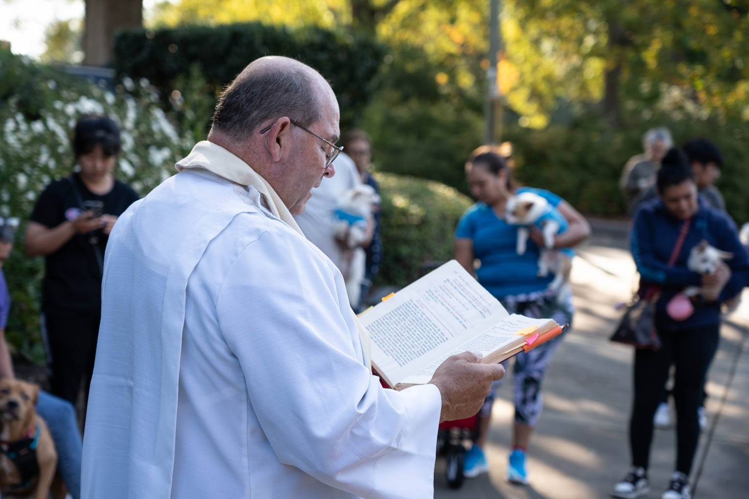 St. John Neumann Parish held a pet blessing on Saturday.