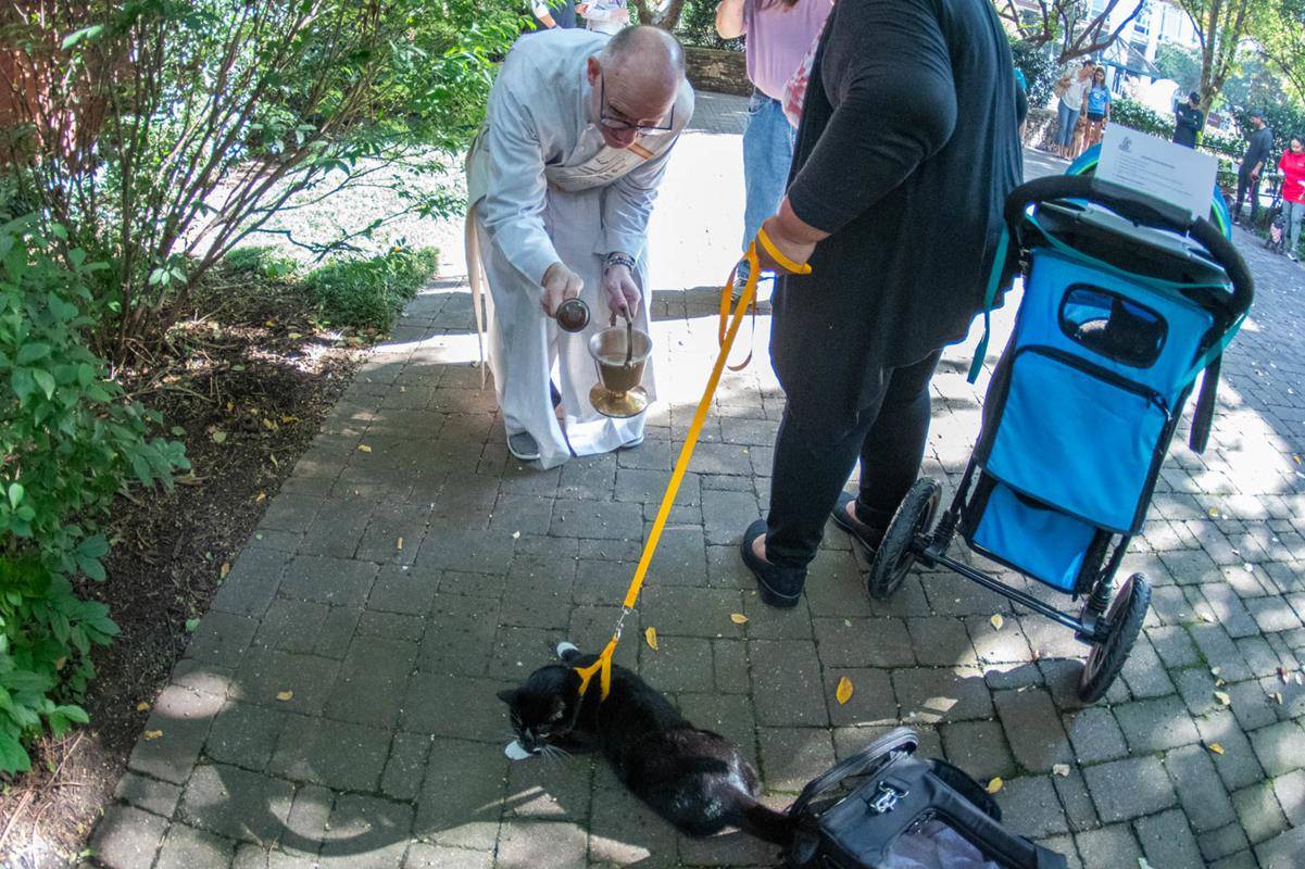 A dozen pets (plus one in spirit) gathered in the garden of St. Peter Church in uptown Charlotte for the annual Blessing of the Animals Sept. 30.