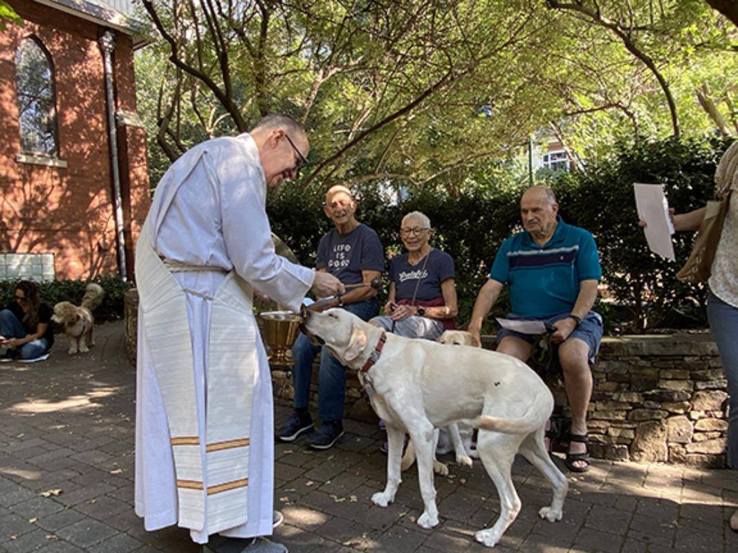 A dozen pets (plus one in spirit) gathered in the garden of St. Peter Church in uptown Charlotte for the annual Blessing of the Animals Sept. 30.