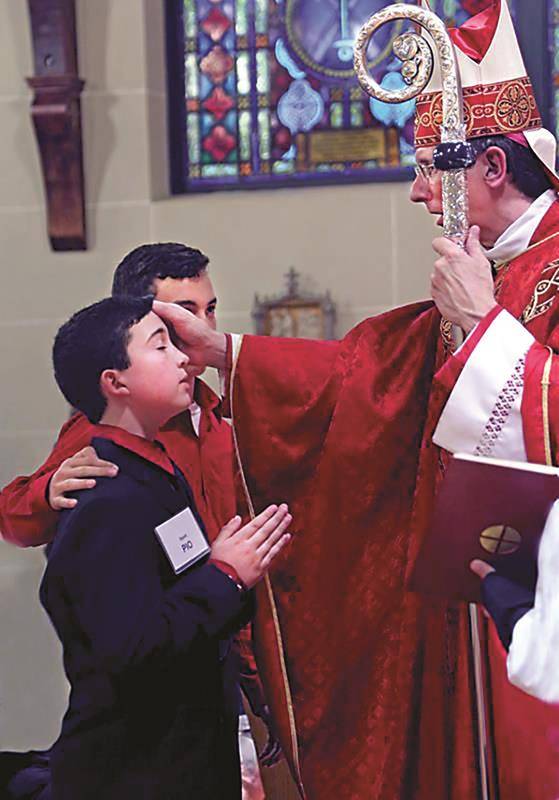 PHOTO- Biography_confirmation 2_not toned (Copy)