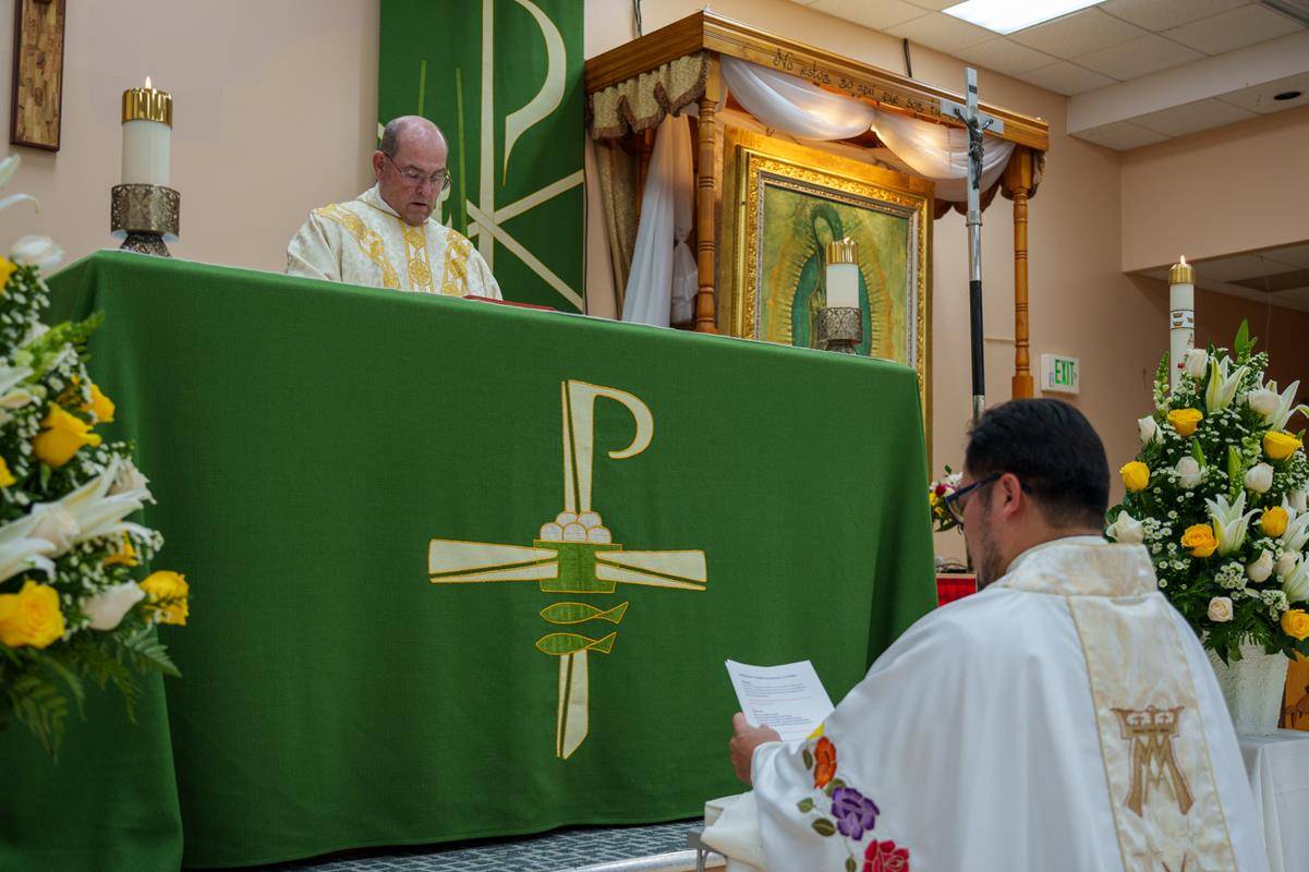 OLG Installation-8 (Copy)