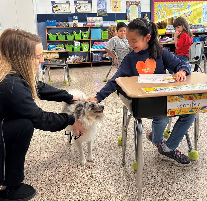Students raised money last school year and collected pet food and supplies this year. Meanwhile, Oliver, a Pomeranian rescue, visited with students.
