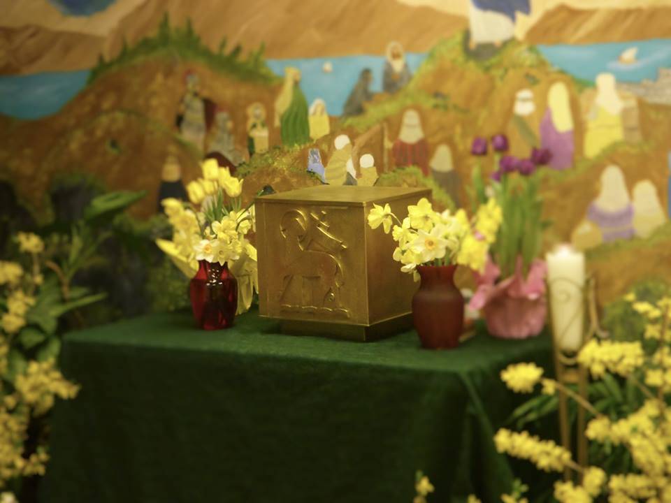 Boone_AM_1479476_10209249108527453_9095177109223804034_n