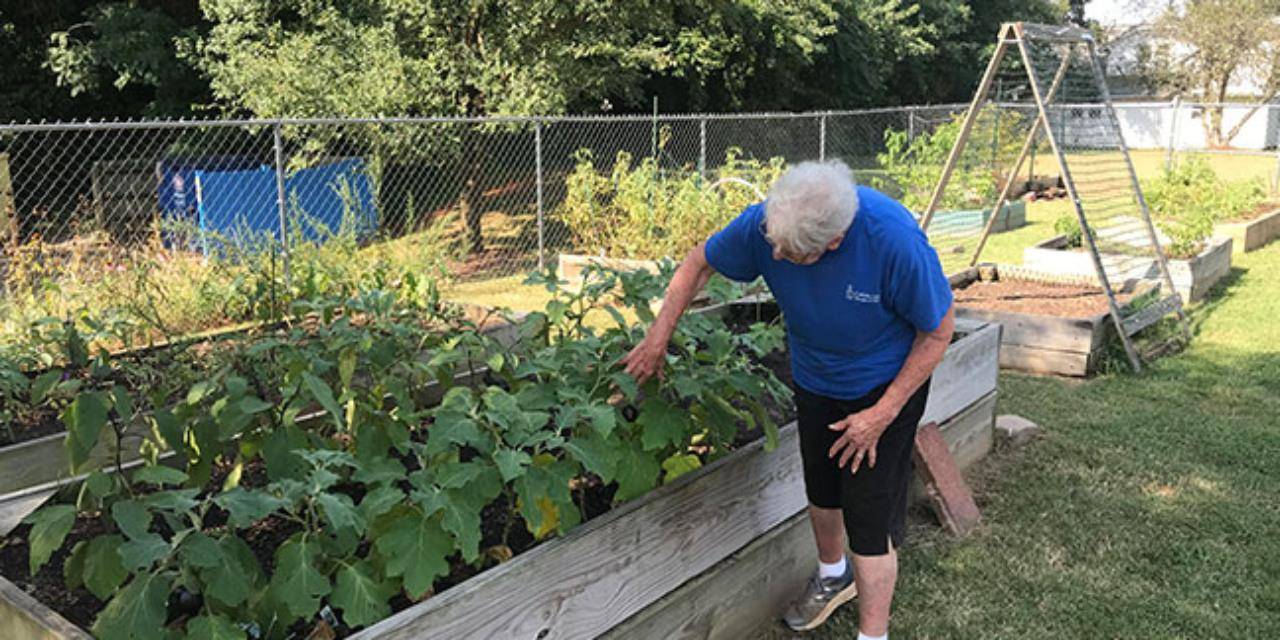 090123-garden (Copy)