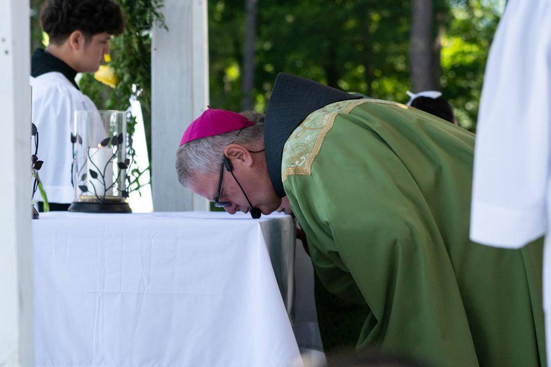 OLH_ANN0018 - Copy (Copy)