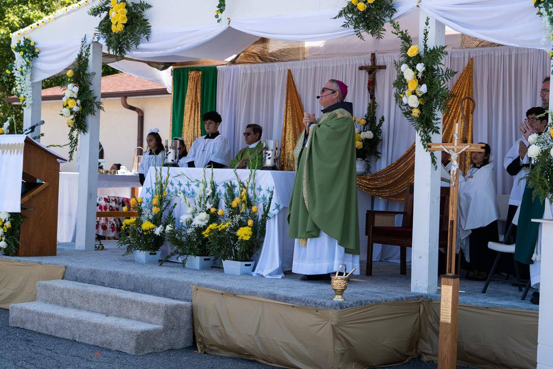 OLH_ANN0686 - Copy (Copy)