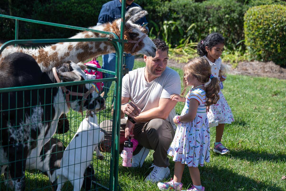 ST_MAT_ZOO0003 (Copy)