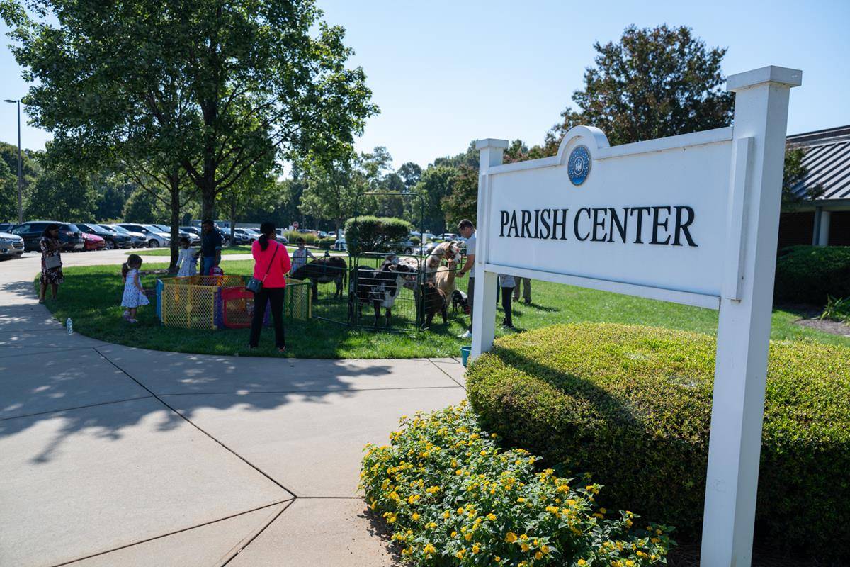 ST_MAT_ZOO0014 (Copy)