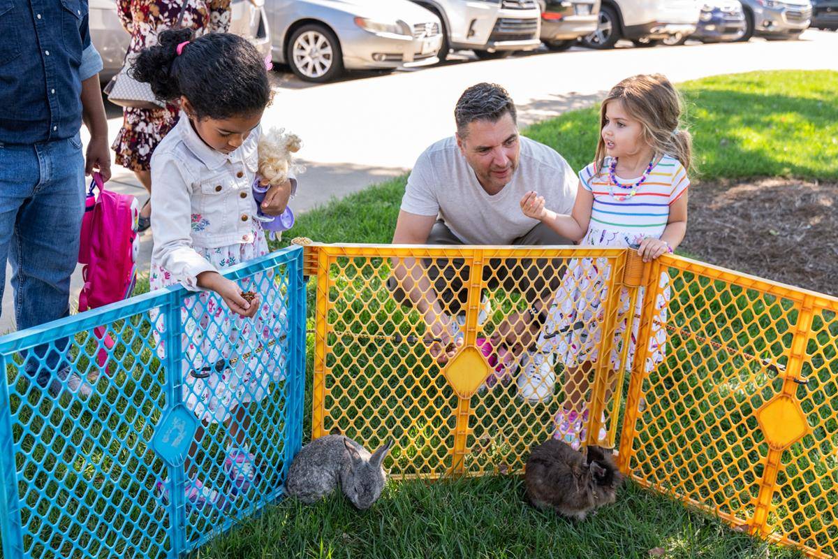 ST_MAT_ZOO0020 (Copy)