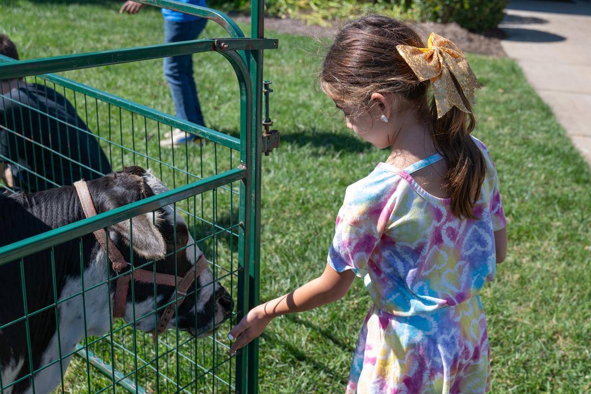 ST_MAT_ZOO0027 (Copy)