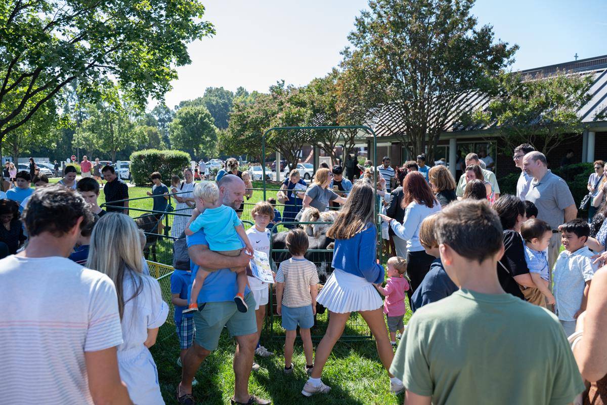 ST_MAT_ZOO0106 (Copy)