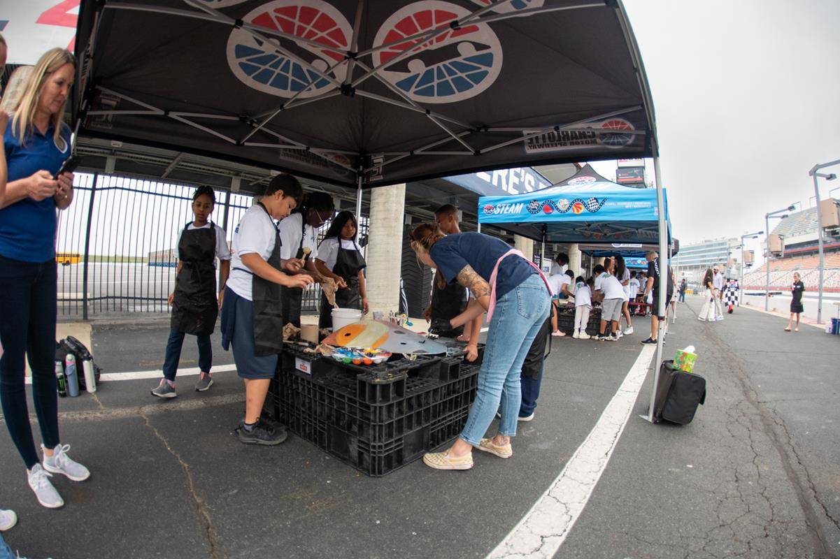 OLA_TURTLE0020 (Copy)