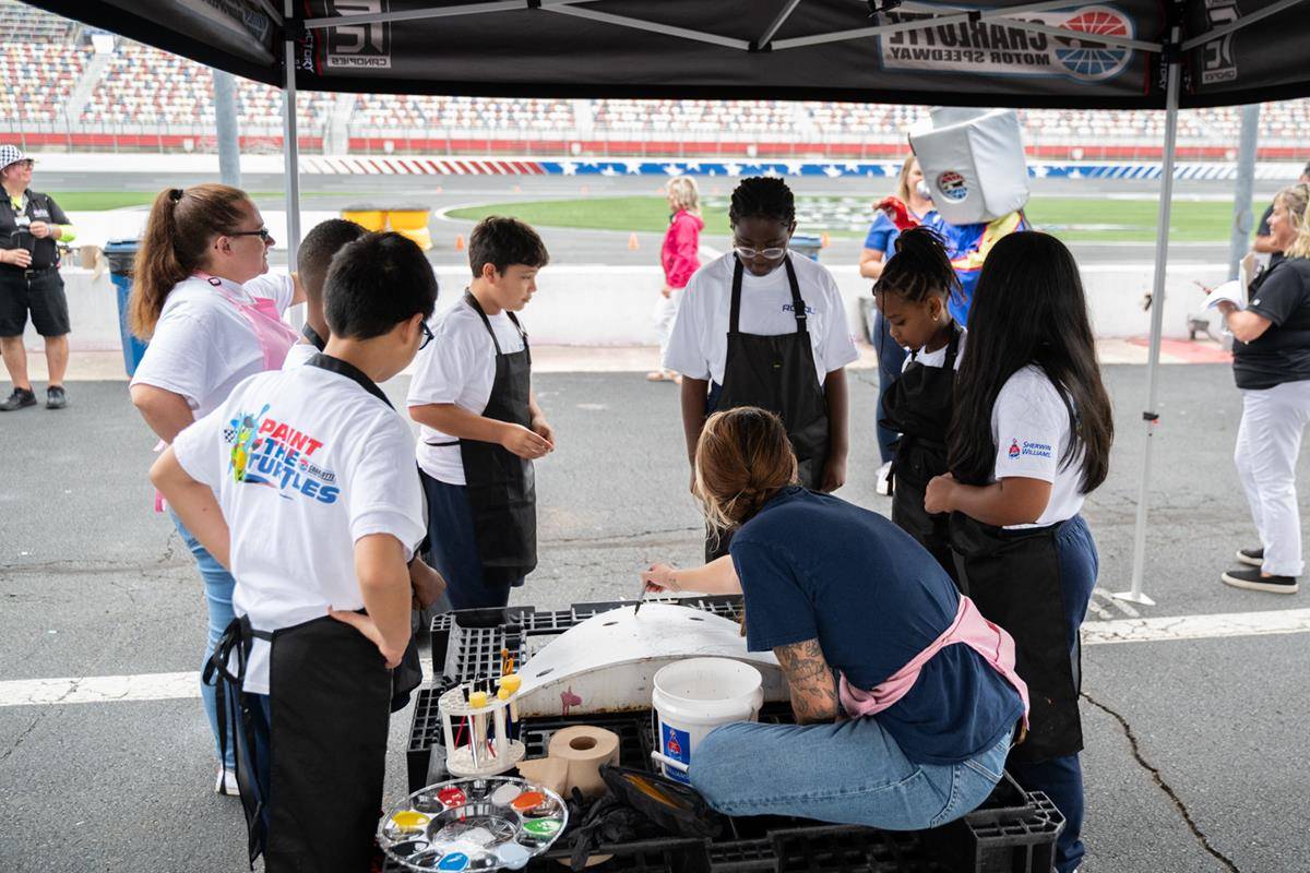 OLA_TURTLE0023 (Copy)