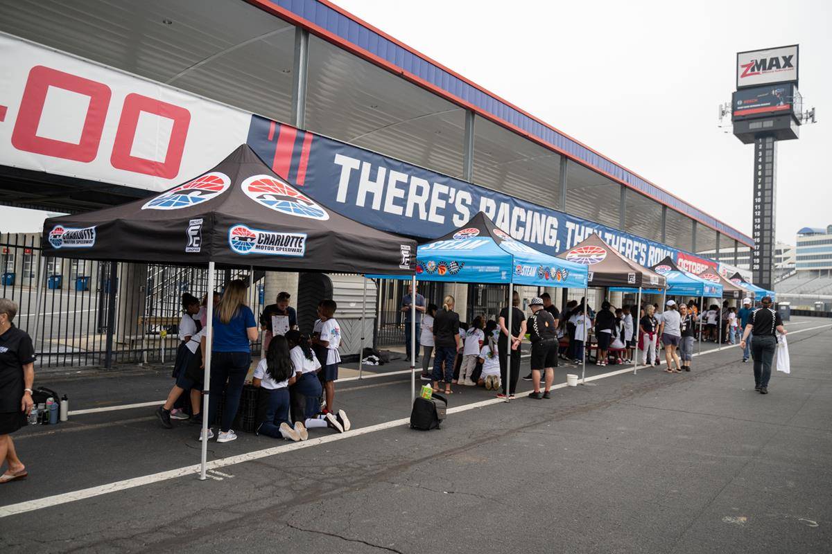 OLA_TURTLE0108 (Copy)