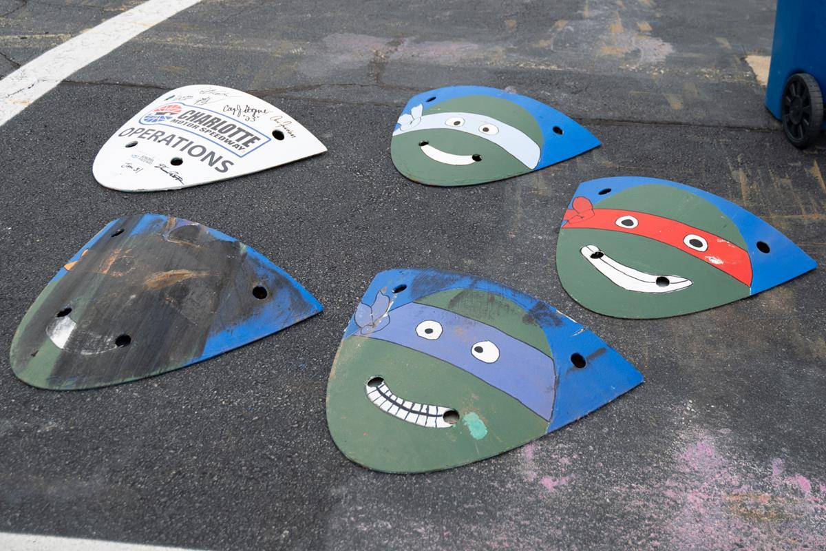 OLA_TURTLE0179 (Copy)