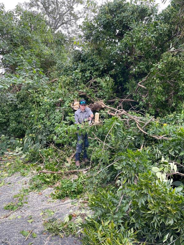 A large tree also toppled over in the parking lot at St. Stephen Church in Elkin.