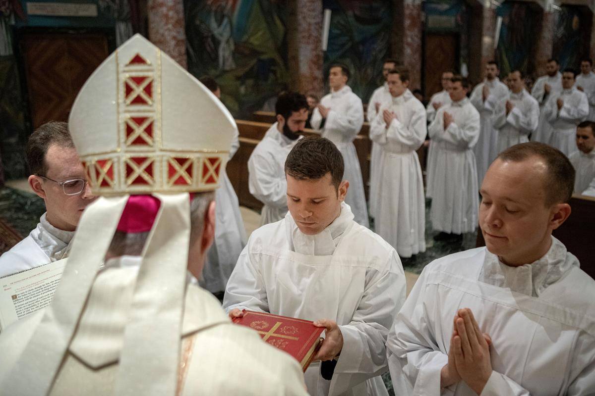 Ronan_54262294325_8755635dc1_o (Copy)