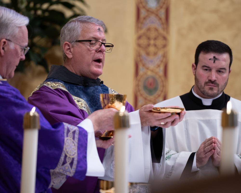 ST_PAT_ASHES0244 (Copy)