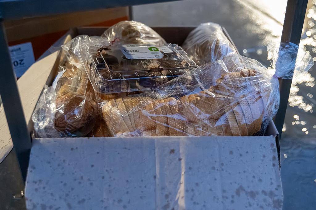 DLY_BRD _0058 (Copy)