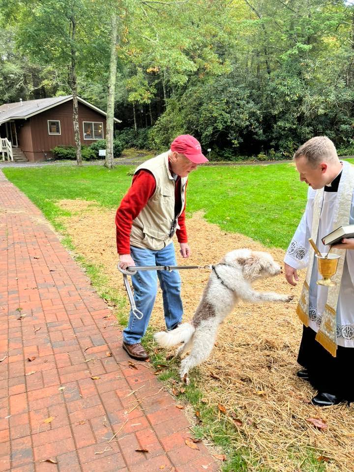 Father Jason Barone blesses pets at Our Lady of the Mountains parish in Highlands for the Feast of St. Francis of Assisi. 