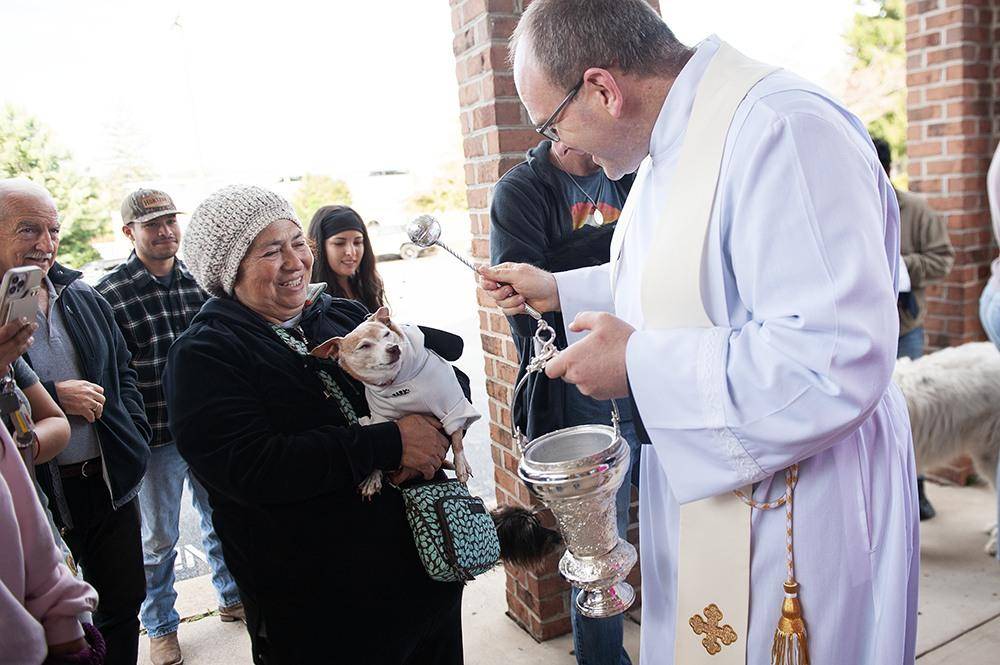 558067259_1102737908683737_2828731669735948529_n (Copy)