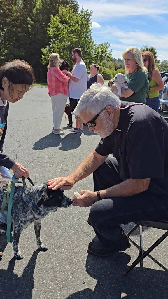 St. Francis was honored with animal blessings at St. James the Greater in Concord.